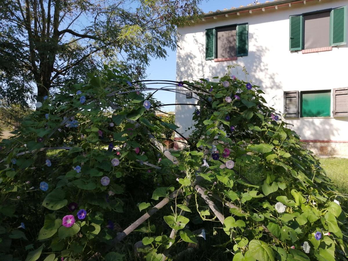 Da Pino Guest House Montemerano Exterior photo